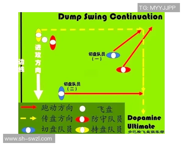 深圳飞盘队的节奏分析与战术得失探讨