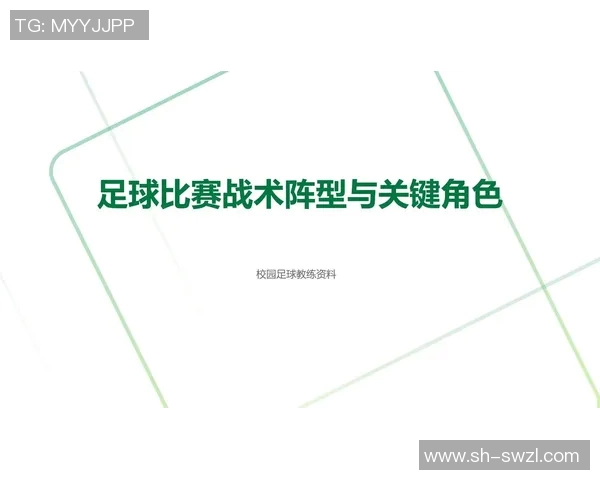 深圳足球队进攻体系解析：战术布局与球员配合的完美结合